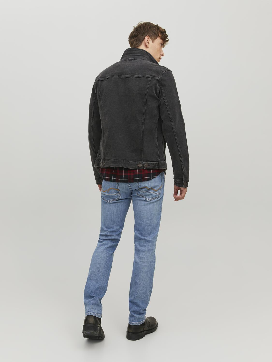 model_shot-back